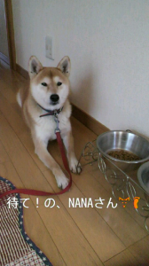 ☆ママ・・20年前より若い♪ 画像1