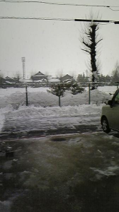 ぐったり～ 画像3