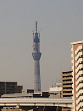 今日はレース！ 画像1