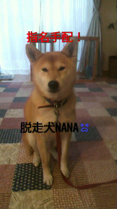 ☆お風呂に来てまちゅ(* ^3^)/ ~☆ 画像1