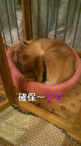 ☆お風呂に来てまちゅ(* ^3^)/ ~☆ 画像2