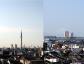 2011年1月定例報告 画像2