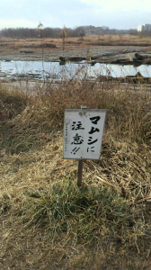 ☆現役バリバリー！！！！ 画像2