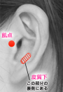 耳つぼ