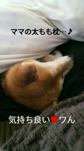 ☆盛り…？沢山( 笑) 画像3