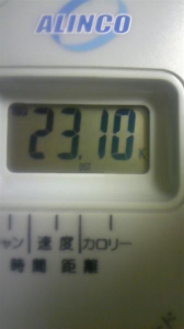 週末デビュー♪ 画像2