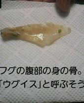 ლ(◉ืൠ◉ืლ) 画像3