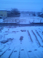 初雪です。 画像1