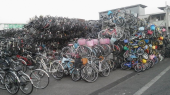 自転車墓地 画像1
