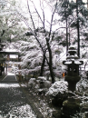 雪の朝