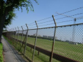 所沢米軍基地付近を走った