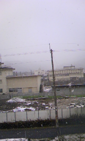 今日も雪 画像1