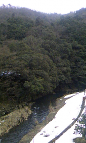 危なかったー(≧∇≦) 画像1