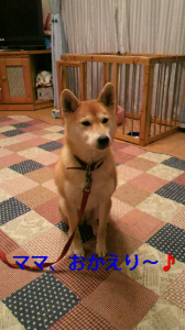 ☆恋って、いいやね( 笑) 画像2