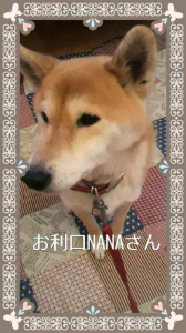 ☆二週間ぶりに…( ≧▼≦) 画像1