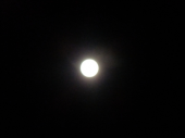 夜歩く 画像1