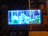 夜歩く 画像3