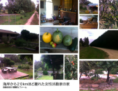 旅４日目 画像1