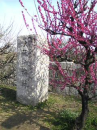 三寒四温