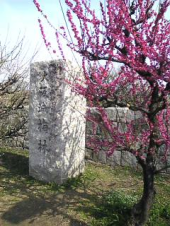 三寒四温 画像3