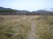 no title 画像1