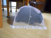 誰だ!!起こしたのは？！ 画像2