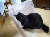 誰だ!!起こしたのは？！ 画像3