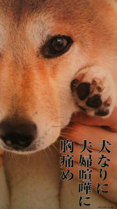 ☆なんつってもさ～ 画像2