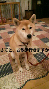 ☆なんつってもさ～ 画像3