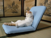 態度、でかっ！　・・・♪ 画像1