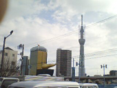 今日のスカイツリー♪ 画像1