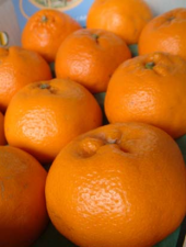 新しい発見。 画像2