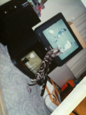 ↓：旅立ち… 画像2