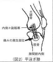 ☆膝の不調、、、☆ 画像2