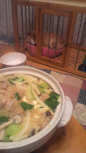 ☆親が不思議だと…? 画像2