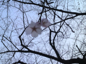 桜田門外の変態 画像2