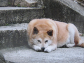 no title 画像3