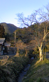 津波の怖さ 画像1