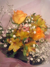3/16 画像1