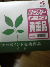 ☆こんな時ですが、私の断面図、、、☆ 画像1