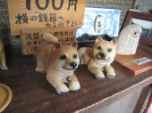 no title 画像3