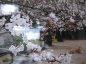 no title 画像2