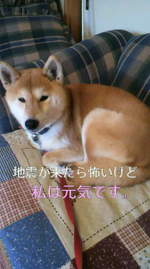 ☆やっとお休みだぁ( 〇>_<) 画像1