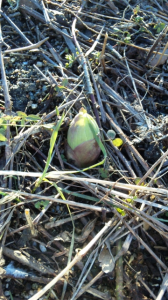 引き籠る! 画像3