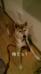 ☆4月だねっ！ヽ(´▽`)/ 画像2