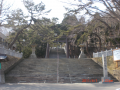 ４月１日　５１日目