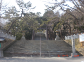 ４月１日　５１日目 画像2