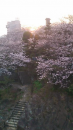春‥‥