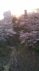 春‥‥ 画像1