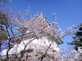ほんとに？ 画像1